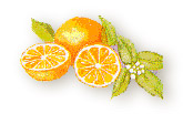 Turun (Bitter Oranges)