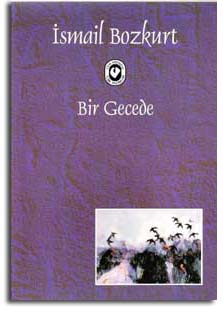 Bozkurt, Ismail, (2005), "Bir Gecede", Cem Yayinevi.